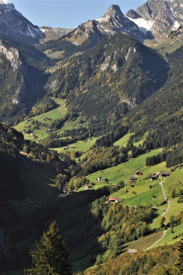 Ferienwohnung Ob Vierwaldsaettersee Изенталь Экстерьер фото